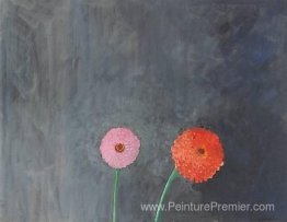 Zinnias Zinnias