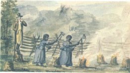 À la plantation À la plantation