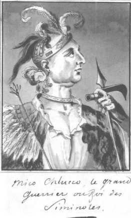 Grand guerrier des séminols Grand guerrier des séminols