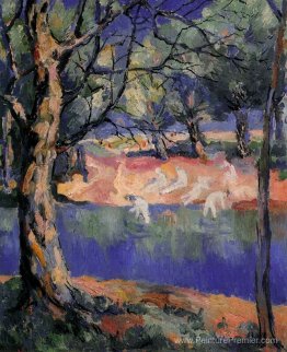 Rivière en forêt Rivière en forêt