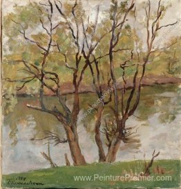 Saules sur la rivière Protva Saules sur la rivière Protva