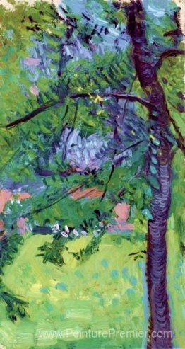 Prairie avec des maisons en arrière-plan Prairie avec des maisons en arrière-plan