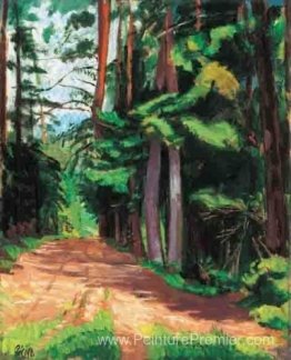 Chemin forestier Chemin forestier