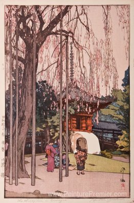 Le cerisier à Kawagoe Le cerisier à Kawagoe