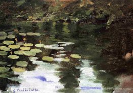 Yerres, sur l'étang, lys à eau Yerres, sur l'étang, lys à eau