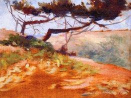 La baie de Cavalieri La baie de Cavalieri