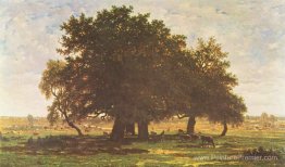 Holm Oaks, Apremont Holm Oaks, Apremont