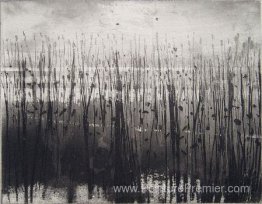 Marais de vue Marais de vue