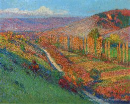 Vallée verte avec ruisseau Vallée verte avec ruisseau