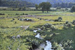 Prairie de walpole Prairie de walpole