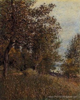 Un coin des Woods de Roches Courtaut, juin Un coin des Woods de Roches Courtaut, juin