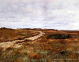 HILLS DE SHINNECOCK HILLS DE SHINNECOCK