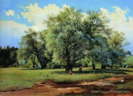 Les saules éclairées par le soleil Les saules éclairées par le soleil