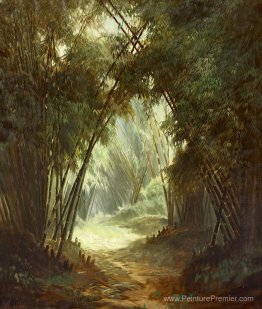 Foret de bambou Foret de bambou