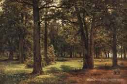 Oaks de Peter le Grand dans Sesroretsk Oaks de Peter le Grand dans Sesroretsk