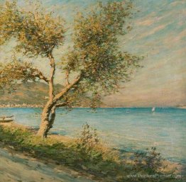 Le mûrier Le mûrier