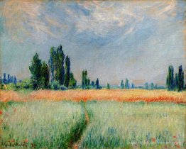 Le champ de blé Le champ de blé