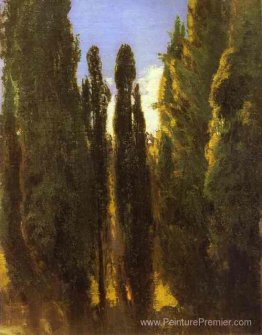 Cyprès en Crimée Cyprès en Crimée