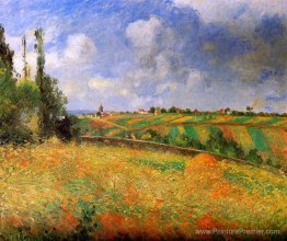 Des champs Des champs