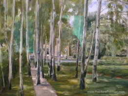 Bouleau grandir Bouleau grandir