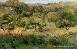 Le bord de la forêt en Bretagne Le bord de la forêt en Bretagne