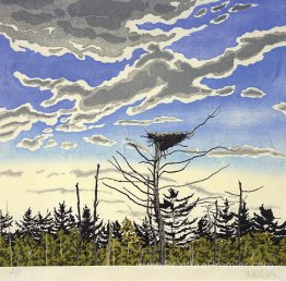 Le nid d'Osprey Le nid d'Osprey
