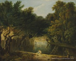 Vue du désert à St. James's Park Vue du désert à St. James's Park