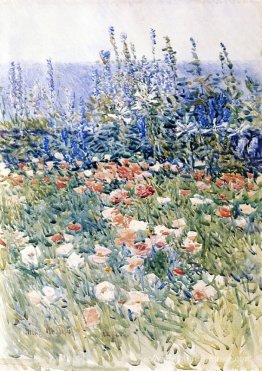 Jardin de fleurs, îles de chooss Jardin de fleurs, îles de chooss