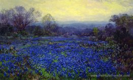 Champ de Bluebonnets Champ de Bluebonnets