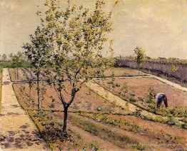 Jardin de cuisine, Petit Gennevilliers Jardin de cuisine, Petit Gennevilliers