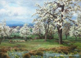 Le verger de poirie Le verger de poirie