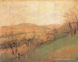 Arbres fruitiers Arbres fruitiers