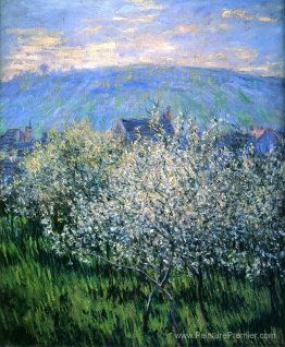 Les prunes fleurissent Les prunes fleurissent
