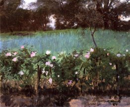 Paysage avec treillis rose Paysage avec treillis rose