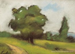 Path de campagne (Brebu) Path de campagne (Brebu)