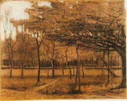 Paysage avec des arbres Paysage avec des arbres