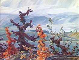 Brouiller les chênes et les érables Brouiller les chênes et les érables