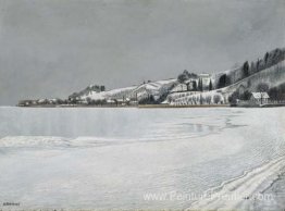 Graue Winterlandschaft bei Mannenbach Graue Winterlandschaft bei Mannenbach