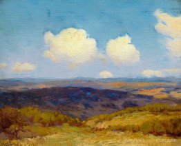 Ombres volantes Ombres volantes