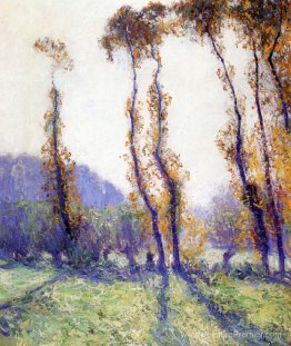 Matin d'octobre Matin d'octobre