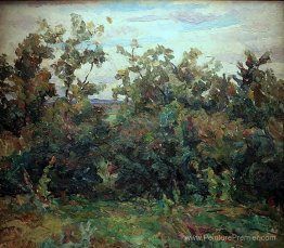 Des buissons Des buissons