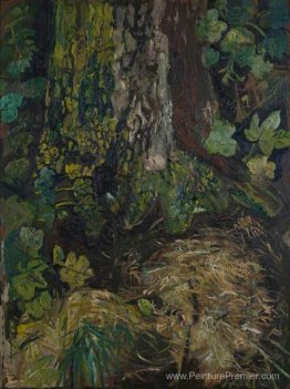 Troncs d'arbres et feuilles Troncs d'arbres et feuilles