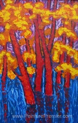 Forêt de plaines inondables Forêt de plaines inondables