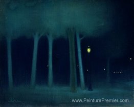 Un parc la nuit Un parc la nuit