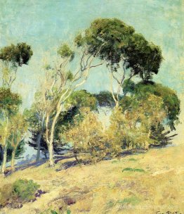 Arbres balayés par le vent, laguna Arbres balayés par le vent, laguna