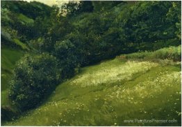 Champ dans les Asturies Champ dans les Asturies