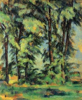 Grands arbres à Jas de Bouffan Grands arbres à Jas de Bouffan