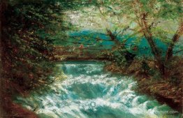 Ruisseau en rogne Ruisseau en rogne