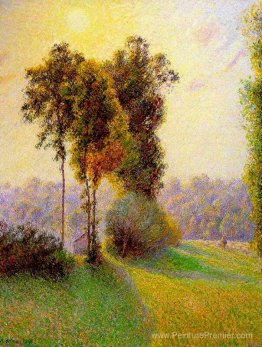 Sunset à Send Charlez. Écurie Sunset à Send Charlez. Écurie