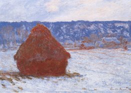 BACK DE GRAINS par temps couvert, effet de neige BACK DE GRAINS par temps couvert, effet de neige